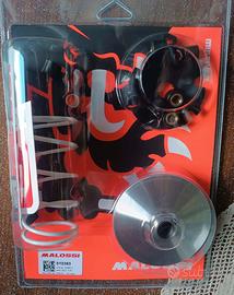 variatore multivar malossi