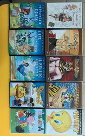 dvd in blocco