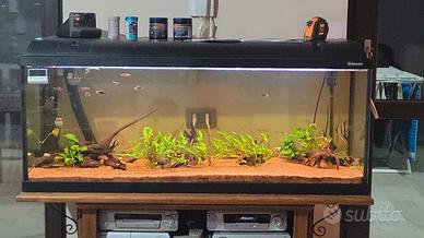 acquario Askoll Ambiente 200