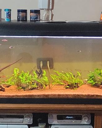 acquario Askoll Ambiente 200