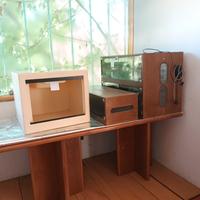 terrario basso in legno 