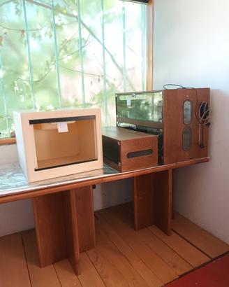 terrario basso in legno 