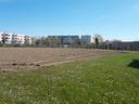 portogruaro-lotti-di-terreno-edificabile