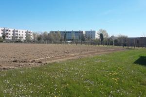 PORTOGRUARO Lotti di terreno edificabile