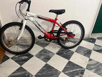 Bici bambino 20”