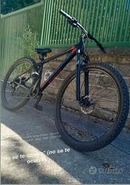 legnano whellie bike