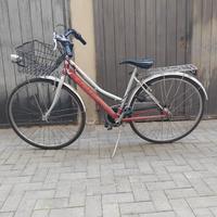 Bicicletta doppio cambio con cestino