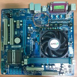 Scheda Madre Gigabyte GA-M68M-S2P + Processore