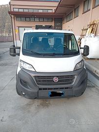 ducato