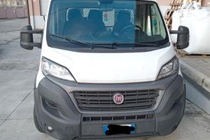 ducato