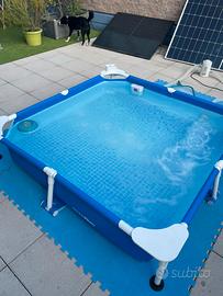 Piscina IntexPaws