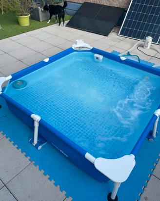 Piscina IntexPaws