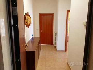 Appartamento ampio e luminoso