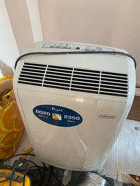 Pinguino delonghi condizionatore