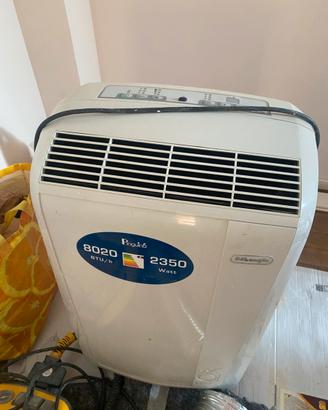 Pinguino delonghi condizionatore