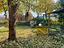 Immagine 28