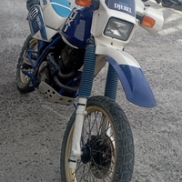 Suzuki DR600 DJEBEL targa oro FMI