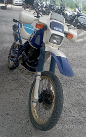 Suzuki DR600 DJEBEL targa oro FMI