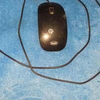 MOUSE