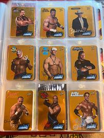 Lotto carte lamincards WWE Smackdown!