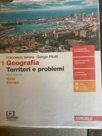 Geografia territori e problemi