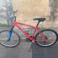 Bicicletta mountain bike