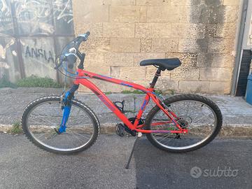 Bicicletta mountain bike