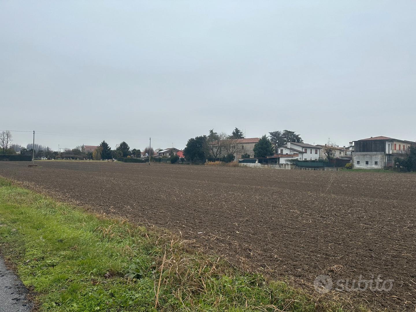Terreno agricolo cartura cagnola - Vista 2