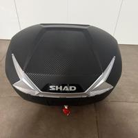 BAULETTO SH39 CARBON LOOK