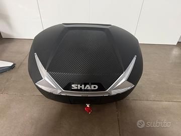 BAULETTO SH39 CARBON LOOK