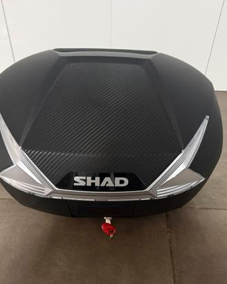 BAULETTO SH39 CARBON LOOK