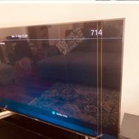 Televisore SONY BRAVIA 55