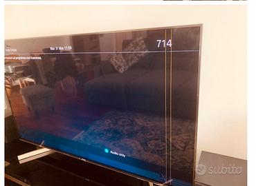 Televisore SONY BRAVIA 55