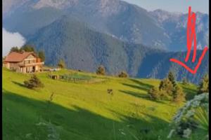 Terreno Agricolo