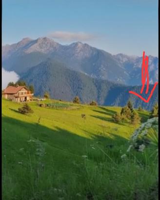 Terreno Agricolo