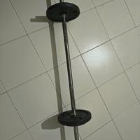 Bilanciere con dischi da 14 kg