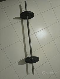 Bilanciere con dischi da 14 kg