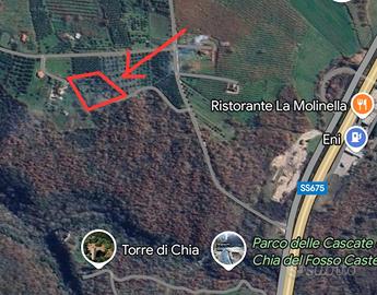 Casa indipendente con uliveto e alberi da frutta