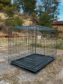 Kennel per cani