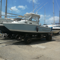 Bayliner trophy