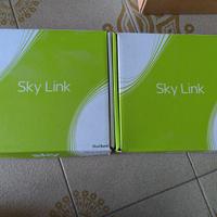 Skylink