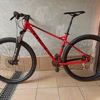 Olympia cobra 29" 2023 - size L