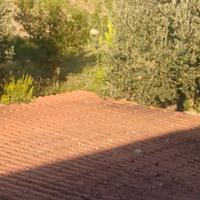 tegole a coppi 550 pezzi
