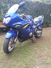 Suzuki GSX600F