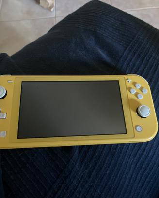 Nintendo switch lite
