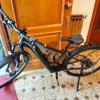 Bicicletta elettrica