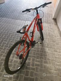 biciclette 