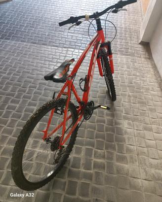 biciclette 