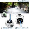 lampade-bixenon-d1s-per-peugeot-5008-13-16-6000k