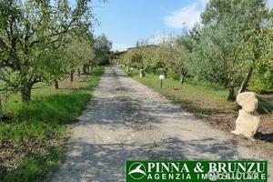 Baratili - capannone